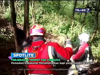 Terjebak di Tempat Tak Terduga [Spotlite]