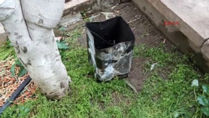 Balıkesir Cami Bahçesindeki Depoda Ölü Bulundular