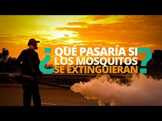 ¿Qué pasaría si los mosquitos se EXTINGUIERAN?