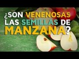 Semillas de manzana venenosas: ¿Mito o realidad?