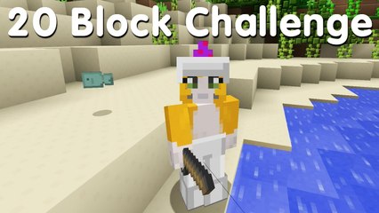 Minecraft PS4 - 20 Block Challenge - Delicious Fish (5)