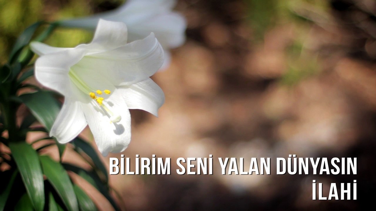 Müziksiz İlahiler - Bilirim Seni Yalan Dünyasın