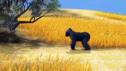 Tiger Vs Gorilla Nursery Rhymes Collection || 3d Animation Song For Children Rhymes