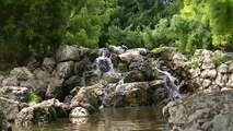 Relaxing Music with Nature Sounds - Waterfall HD