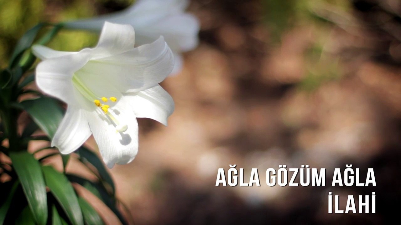 Müziksiz İlahiler - Ağla Gözüm Ağla