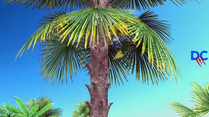 Spiderman Becomes Hulk Frozen Elsa Pink SpiderGirl Doctor Syringe Joker Prank Animals Supe