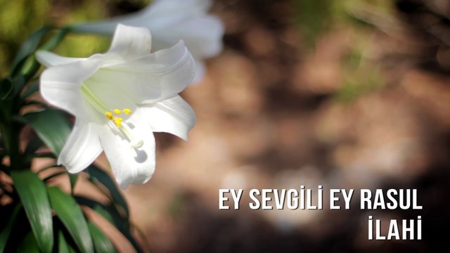 Müziksiz İlahiler - Ey Sevgili Ey Rasul