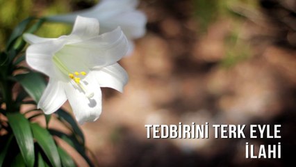 Müziksiz İlahiler -  Tedbirini Terk Eyle