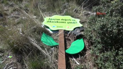 Fethiye Protesto Için Dikilen Sembolik Ağaçlar da Kesildi