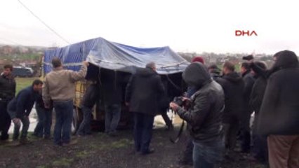 Tekirdağ'da 300 Damızlık Koç Dağıtıldı