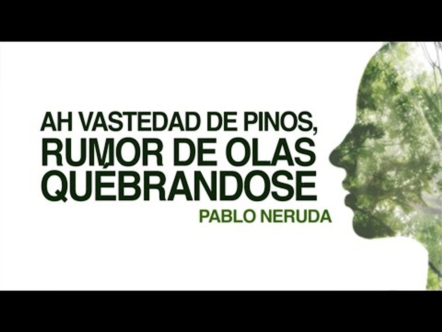 Ah Vastedad De Pinos Rumor De Olas Quebrandose Pablo Neruda Video Dailymotion dailymotion