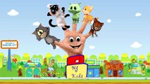 Finger Family Cat - Nursery rhymes for children - Finger family song - Family Finger Cat