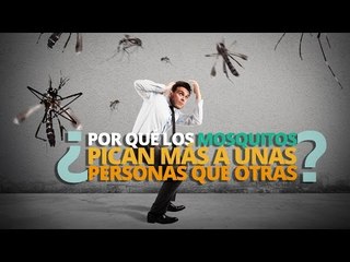 ¿Por qué los mosquitos pican más a unas personas que a otras?
