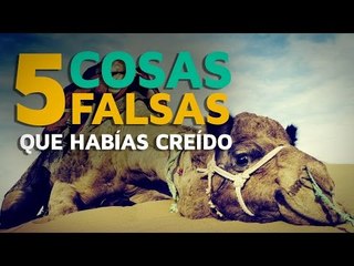 5 Cosas FALSAS que te habías creído