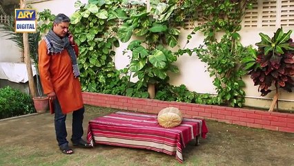 Mein Mehru Hoon Ep 163 - 14th March 2017