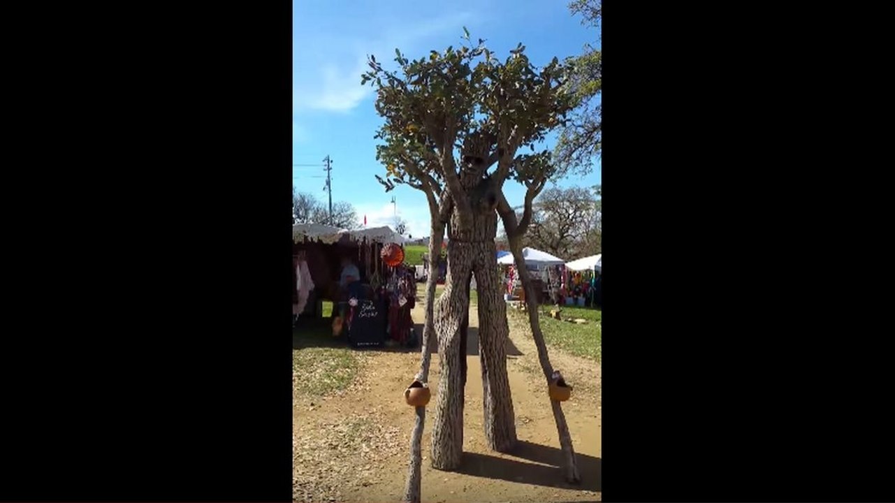 Costume d'arbre