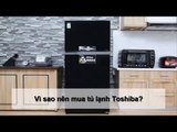 Vì sao nên mua tủ lạnh Toshiba