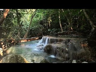 الشيخ خالد جليل تلاوة رائعة 