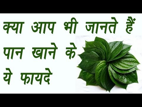 Paan, क्या आप भी जानते हैं पान खाने के ये फायदे | Health Benefits | BoldSky
