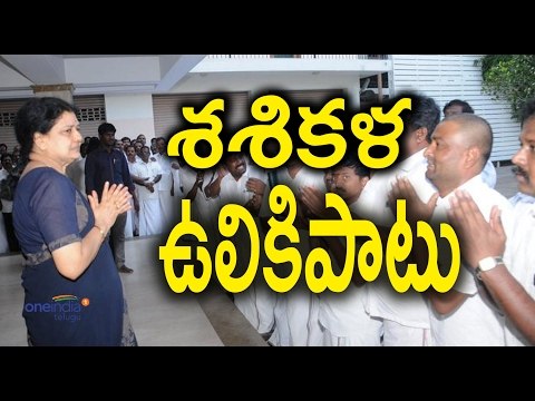 Sasikala has Support of 131 M.L.A's - Oneindia Telugu