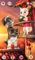 Talking Tom and Friends - Toms Love Song (Episode 27)