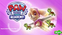 Paw Patrol Academy Game - Paw Patrol Cartoon Nick JR English - Paw Patrol full Episodes