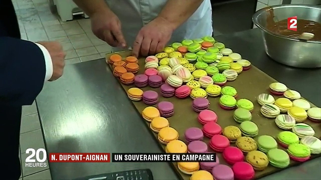 Nicolas Dupont-Aignan : deuxième campagne présidentielle pour le souverainiste