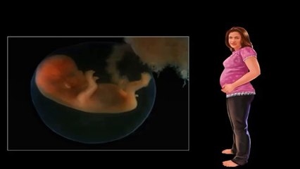 Anophthalmos - MEDICAL DEFINITIONS