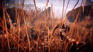 Far Cry Primal, PC Gameplay (Day), R7 370 i5 4690