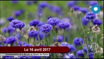 Aisne 2017 : Centenaire de la bataille du Chemin des Dames - 15 et 16 avril 2017