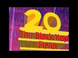 3D Animazioone Dj Remix  Luca Brunello Treviso The Black Keys - Fever