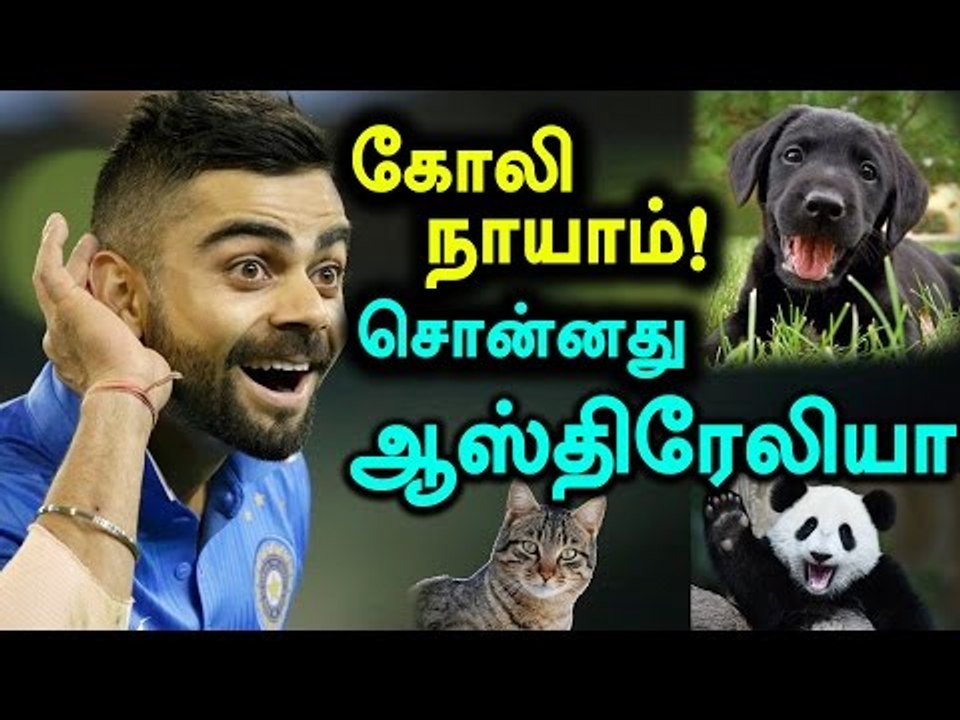 Australian Media Compares Virat Kohli With Animals - Oneindia Tamil