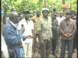 Patrimoine forestier ivoirien tres abusé