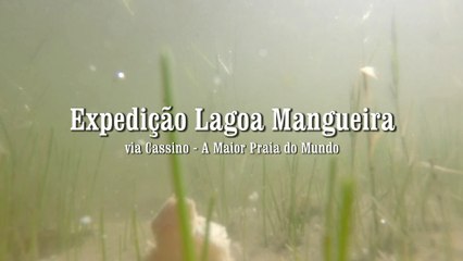 Expedição Lagoa Mangueira via Praia do Cassino
