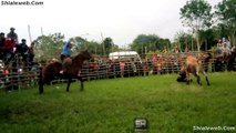 SUPER JARIPEO EXTREMO RANCHERO EN EL OJITAL CUAYO VALIENTES JINETES MONTAN TOROS SALVAJES Y CABALLOS