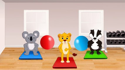 Голова плечи колени и пальцы Упражнение Песня для Дети