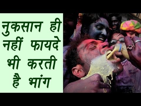 Bhang (Hemp), भांग | Advantage and Disadvantages | नुक्सान ही नहीं फायदा भी करती है भांग |BoldSky