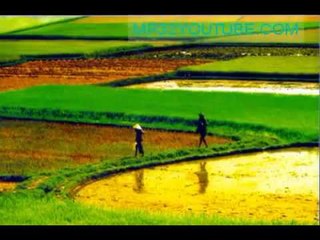 Lý thương nhau - Sáo trúc NSƯT Tiến Vượng