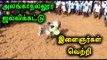 அலங்காநல்லூர் ஜல்லிக்கட்டு,இளைஞர்கள் உற்சாகம் | Alanganallur Jallikattu Celebration- Oneindia Tamil