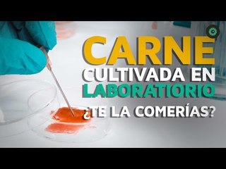 Carne cultivada en laboratorio: ¿Te la comerías?