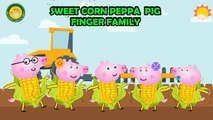 Peppa Pig Sweet Corn Finger Family | Peppa Pig Finger Family Song | Nursery Rhymes Lyrics