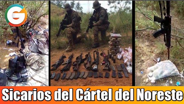 Sicarios del Cártel del Noreste en La Ribereña, Tamaulipas