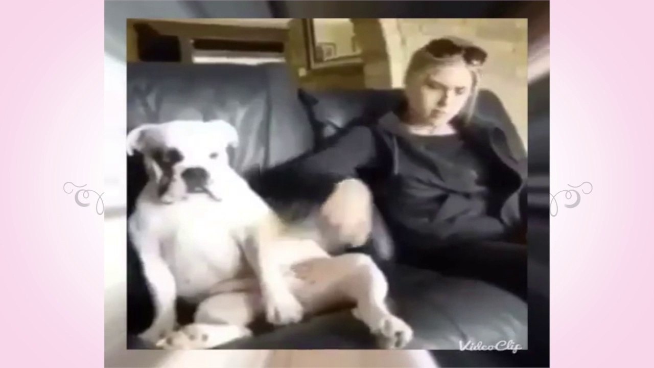 Top Funny Videos Fail Compilation - The Best Videos 2017