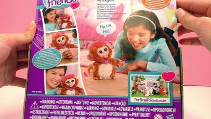 FurReal Friends Hasbro Baby Affe Cuddles niedlich und lustig lacht und bewegt sich | Deuts