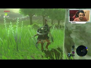 The Legend of Zelda: Breath of the Wild Latino Parte 8