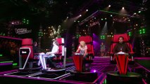 Vannessa Thuyns – Slow Down (The Blind Auditions _ The voice of Holland 2016)