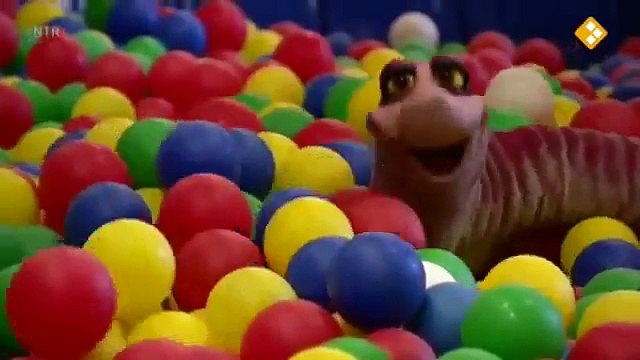 Koekeloere Ik woon op de kermis