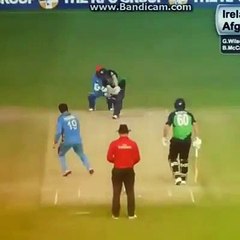 Check out the Celebration of Afghani Player Muhamamd Shehzad After Doing Stumpin