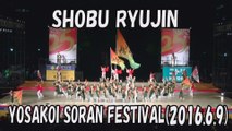 【YOSAKOI SORAN DANCE】SHOBU RYUJIN 2016.6.9 YOSAKOI SORAN FESTIVAL