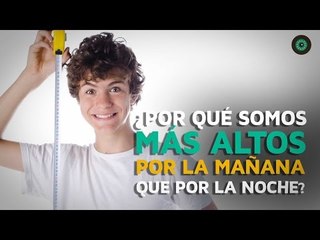 ¿Por qué somos más altos por las mañanas que por las noches?